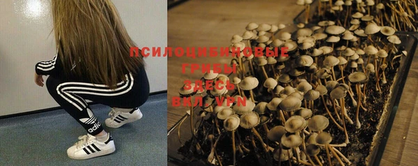 MDMA Premium VHQ Магадан