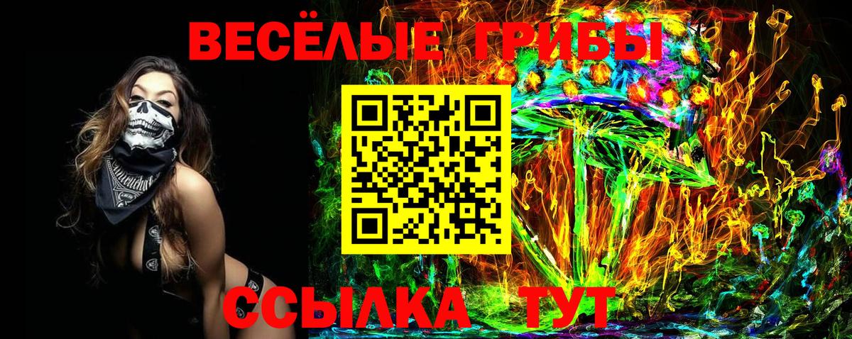 Учалы  цена   Вход с VPN  Галлюциногенные грибы GOLDEN TEACHER 